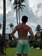 Short Iridea